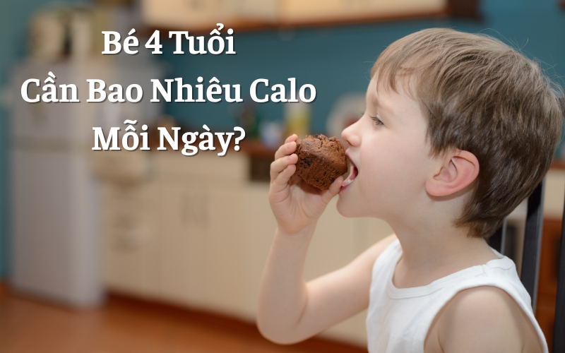 Bé 4 Tuổi Cần Bao Nhiêu Calo Mỗi Ngày?