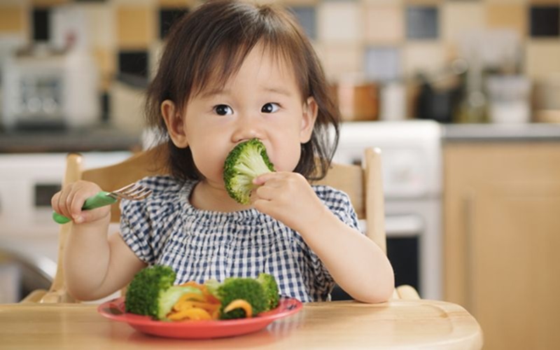 Một số lưu ý khi sử dụng sữa năng lượng cao cho trẻ nhỏ