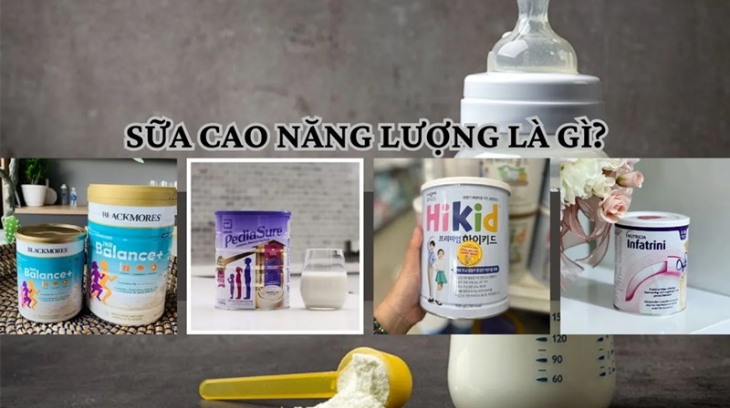 Sữa cao năng lượng là gì