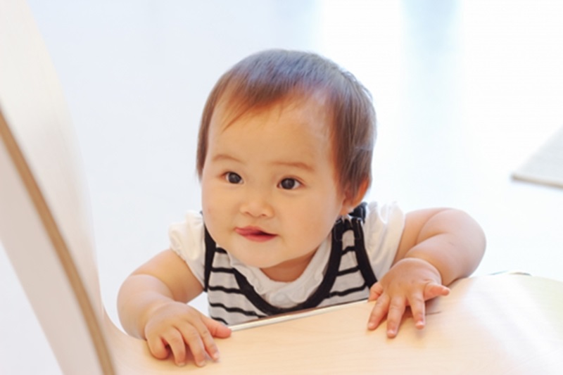 Top 7 sữa cao năng lượng cho bé trên 1 tuổi